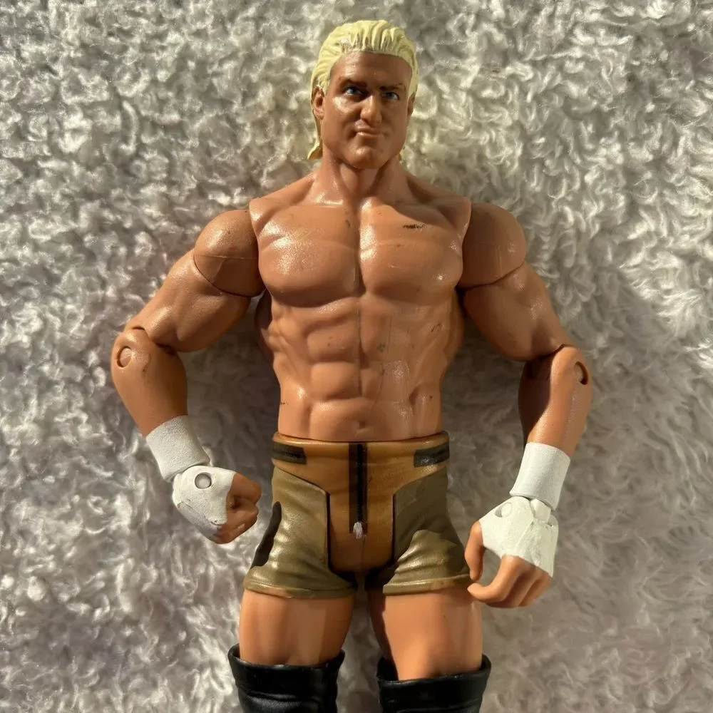 2010 Mattel WWE Wrestling Dolph‎ Ziggler Figure WWF WCW
